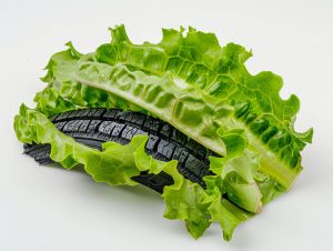 csfcegjtt6